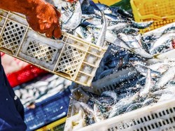 Waduh! 1.000 Orang Positif COVID-19 dari Klaster Pasar Seafood di Thailand