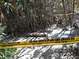 Mengaku Sudah Bertemu Ibu Ayu Shelisha, Mertua: Sampun Rampung Mengaku Sudah Bertemu Ibu Ayu Shelisha, Mertua: Sampun Rampung