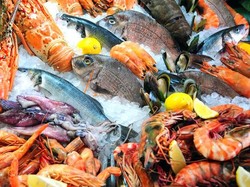 Produk Ekspor Perikanan RI Banyak yang Lebih Cuan dari Lobster