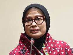 Penipuan Modus Rekrutmen Pegawai KPK di Papua, Masyarakat Diminta Waspada