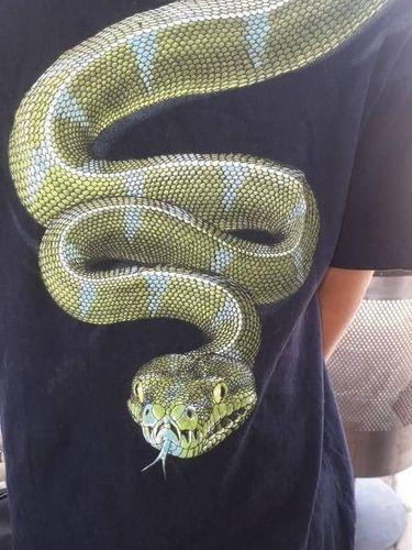 Anak pakai baju gambar ular