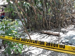 Kisah Pencarian Ayu Shelisa oleh Saudara Kembarnya, Ayu Lelisa