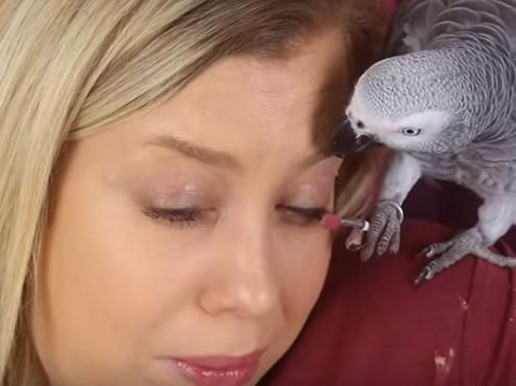 Youtuber Ini Wajahnya Dirias Oleh Burung Beo, Akhirnya Bikin Ngakak