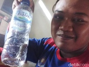 Bikin Geger! Anak Kobra Bertamu ke Studio Radio di Bantul Bikin Geger! Anak Kobra Bertamu ke Studio Radio di Bantul