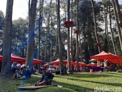 Mengungkap Jejak Sejarah Kopi Gunung Slamet Melalui Festival Kopi
