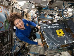 Christina Koch, Astronaut Perempuan Penakluk Antariksa Christina Koch, Astronaut Perempuan Penakluk Antariksa