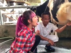 Kata Ahli Gizi Soal DJ Dinar Candy Minum Susu Langsung dari Sapi