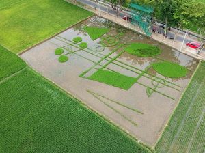 Deformasi Not Balok di Persawahan Ini Keren Banget