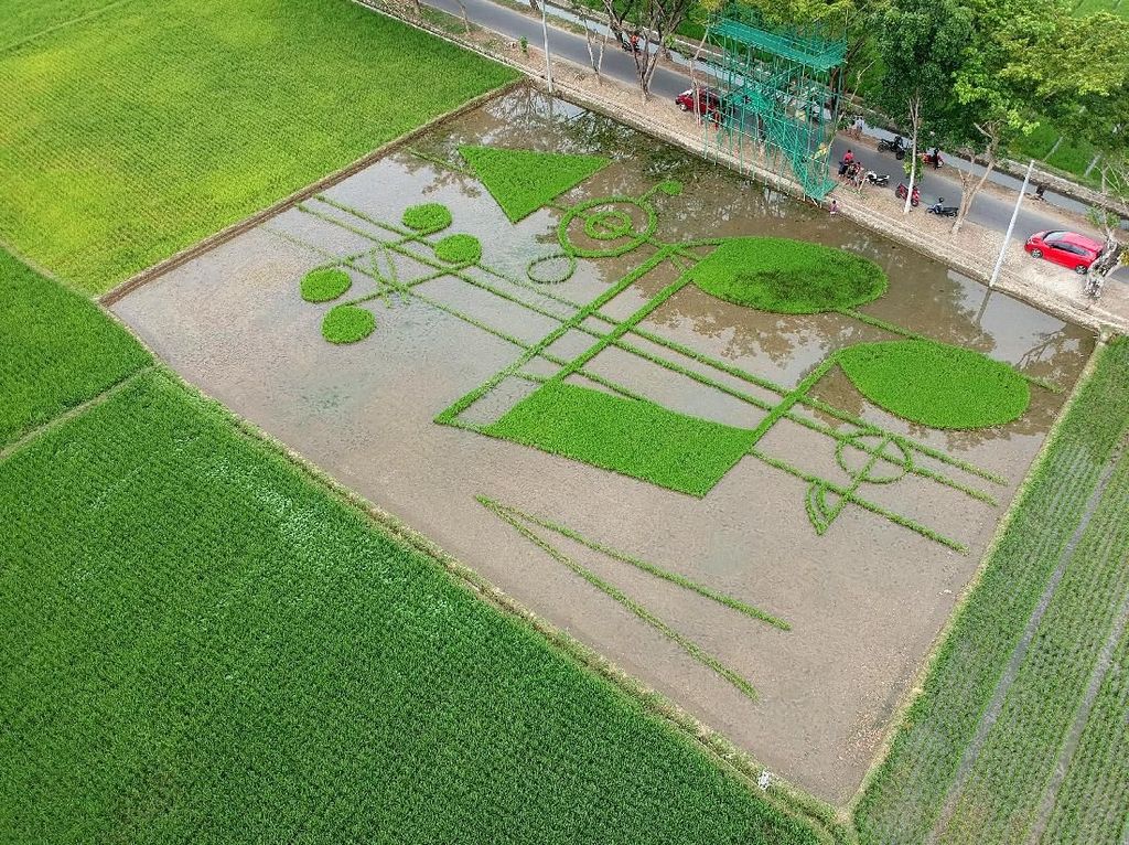 Deformasi Not Balok di Persawahan Ini Keren Banget Deformasi Not Balok di Persawahan Ini Keren Banget