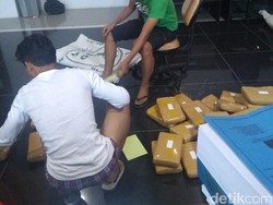 BNN Jabar Tembak Sindikat Pengedar Ganja 50 Kilogram