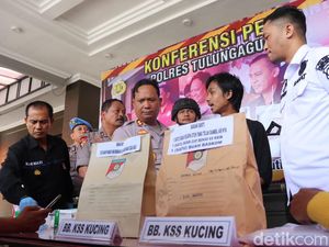 Pengunggah Video Viral Kucing Dicekoki Ciu Jadi Tersangka