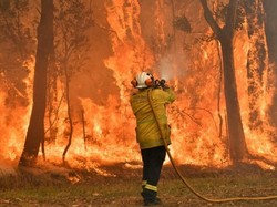 Kebakaran Hutan Australia, Petugas Damkar Kecam PM Morisson