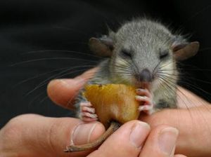 5 Kisah Pencicip Makanan Paling Fenomenal Sepanjang Sejarah