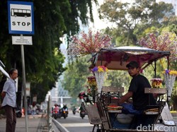 Dishub DKI Larang Delman di Bundaran HI: Kami Dorong ke Monas