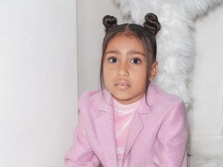 North West Pamer Koleksi Tas Mewah di TikTok, Ada Tas Hermes Rp 143 Juta