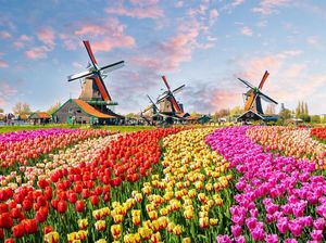Apa Perbedaan Holland, Dutch, Belanda dan Netherland yang Sering Dikira Sama? Apa Perbedaan Holland, Dutch, Belanda dan Netherland yang Sering Dikira Sama?