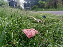 Ramai Kondom Bekas, DPRD Kota Madiun Soroti Tempat Hiburan Tanpa Izin