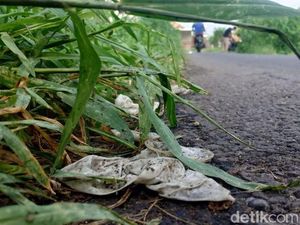 Kondom Berserakan di Pinggir Jalan, DPRD Salahkan Pemkot Madiun