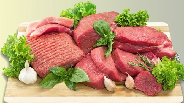 Ilustrasi daging