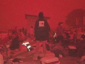 Dikepung Kebakaran Hutan, 4 Ribu Orang Terpaksa Kabur ke Pantai Australia