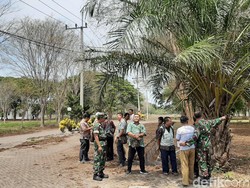 Ulat Jengkal yang Teror Perumahan di Probolinggo Akan Dibasmi dengan Asap