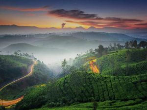 Manjain Mata Dulu di Kebun Teh Cukul Bandung