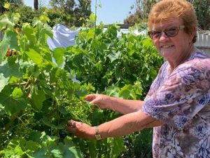 Banyak Pegawai Tak Tetap: Penghasilan Rata-rata Warga Australia Rp 500 Juta Setahun