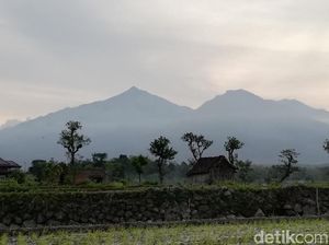 Pendakian Gunung Arjuno Via Sumber Brantas Ditutup Imbas Mahasiswa UB Tewas