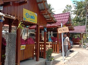 Mau Cari Oleh-oleh Buah Naga di Banyuwangi, Cari di Lapak-lapak Cantik Ini