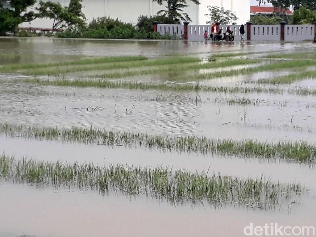 Perubahan Iklim Nyata, Sentra Bawang di Brebes Terdampak Perubahan Iklim Nyata, Sentra Bawang di Brebes Terdampak