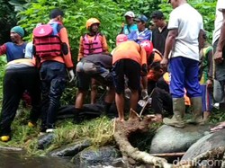 Satu Wisatawan Hilang Terseret Arus di Coban Sinde Malang Ditemukan