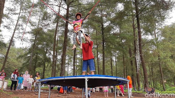 Foto: Main Trampolin Seru di Tengah Sejuknya Hutan Pinus