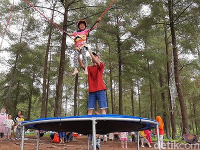 Foto: Main Trampolin Seru di Tengah Sejuknya Hutan Pinus