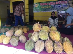 Berburu Durian di Benteng Kampung Durian Ciamis Untuk Oleh-oleh