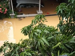 Banjir Awal Tahun di Vila Nusa Indah, Pemkab Bogor Bikin Menara Pemantau