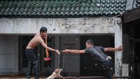 Potret Heroik Damkar-Warga Selamatkan Anjing Terjebak Banjir