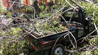 Duh, Ada Mobil Tertimpa Pohon Tumbang di By Pass Ngurah Rai Bali