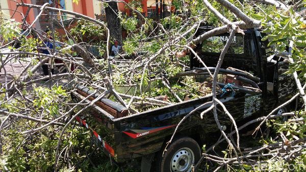 Duh, Ada Mobil Tertimpa Pohon Tumbang di By Pass Ngurah Rai Bali