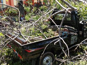 Duh, Ada Mobil Tertimpa Pohon Tumbang di By Pass Ngurah Rai Bali