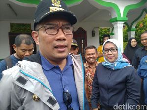 Sumbang Bibit Pohon Jadi Syarat Nikah, Setuju?