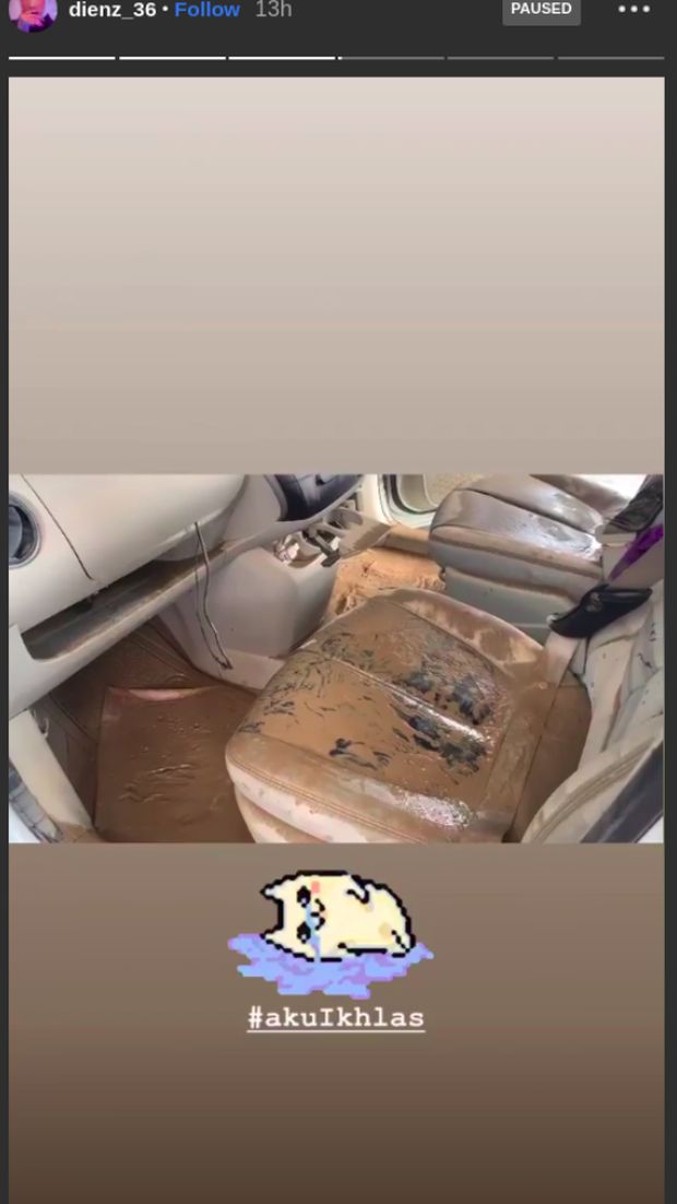 Reaksi Istri Parto Lihat Kondisi Mobil-mobilnya Usai Terendam Banjir