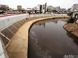Mau Normalisasi atau Naturalisasi Ciliwung PR-nya Satu: Lahan!