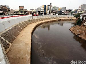 Mau Normalisasi atau Naturalisasi Ciliwung PR-nya Satu: Lahan! Mau Normalisasi atau Naturalisasi Ciliwung PR-nya Satu: Lahan!