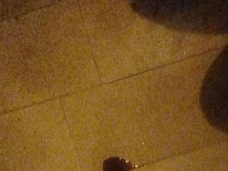 Bawa Motor Ke Bengkel, Dikira Oli Bocor Ternyata Cairan Ini