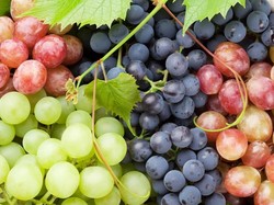 5 Jenis Anggur yang Rasanya Enak dan Kaya Nutrisi