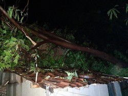 Puting Beliung Terjang 3 Desa di Probolinggo