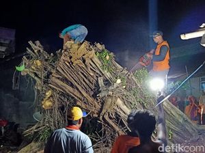 Beringin Tua Besar di Pasuruan Tumbang Timpa Dua Rumah