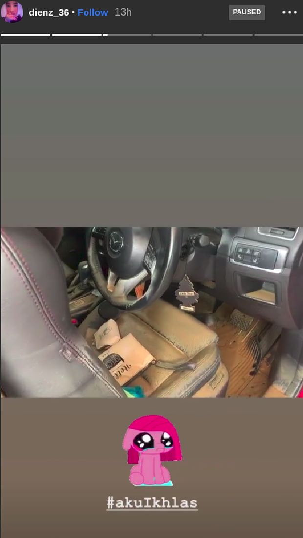 Reaksi Istri Parto Lihat Kondisi Mobil-mobilnya Usai Terendam Banjir