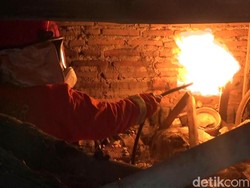 Begini Cara PMK Probolinggo Musnahkan Sarang Tawon Vespa yang Resahkan Warga