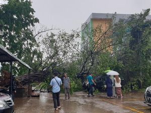 Pohon Beringin Tumbang Timpa 2 Mobil di RSUD Haji Makassar